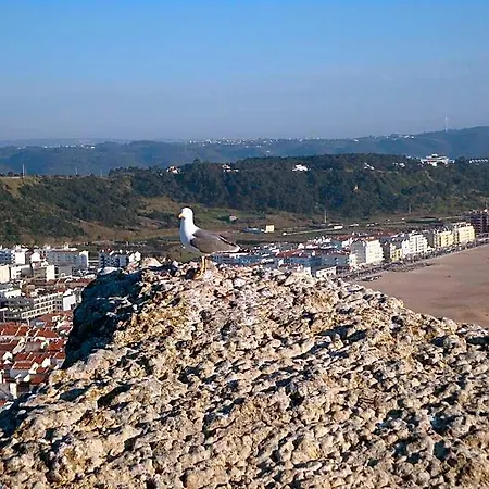 Ancora Mar Nazaré