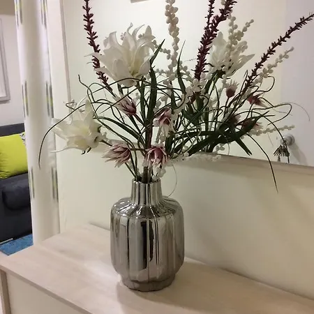 Ancora Mar فندق 2*